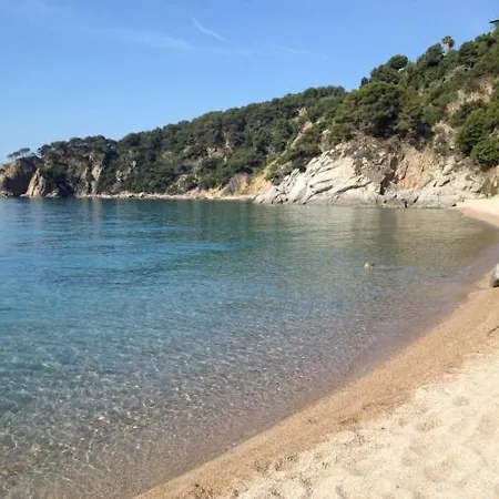 Montemar 또사데마르
